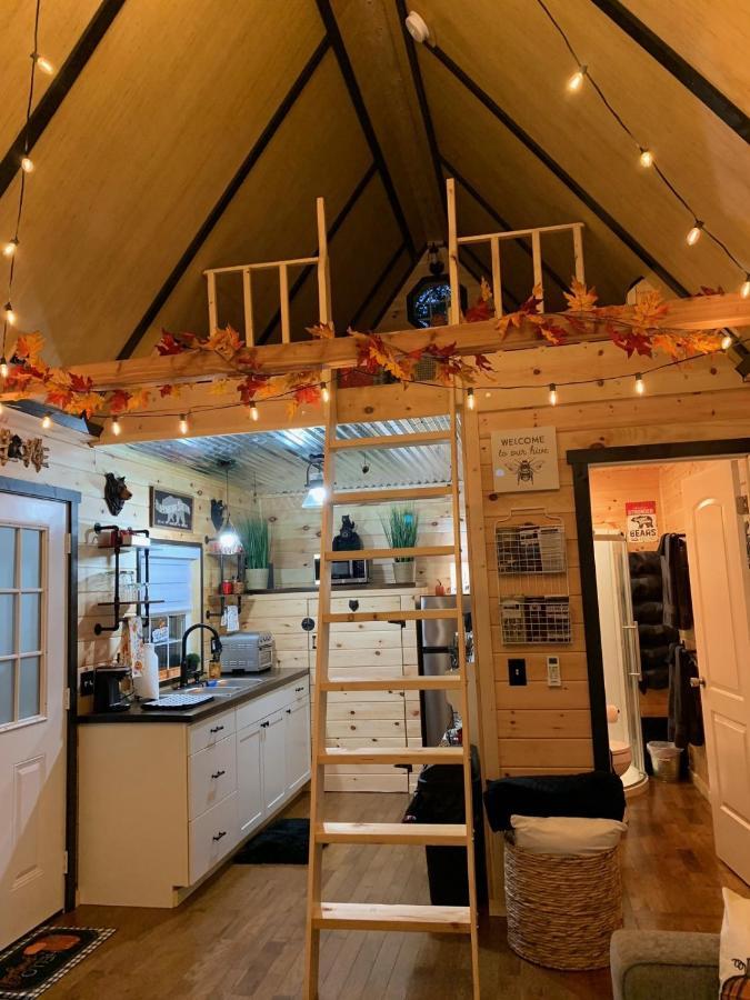 Coops Creek Cabins Dunlap Eksteriør bilde