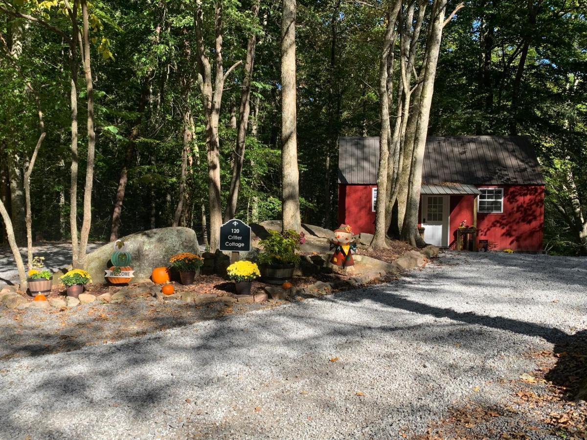 Coops Creek Cabins Dunlap Eksteriør bilde
