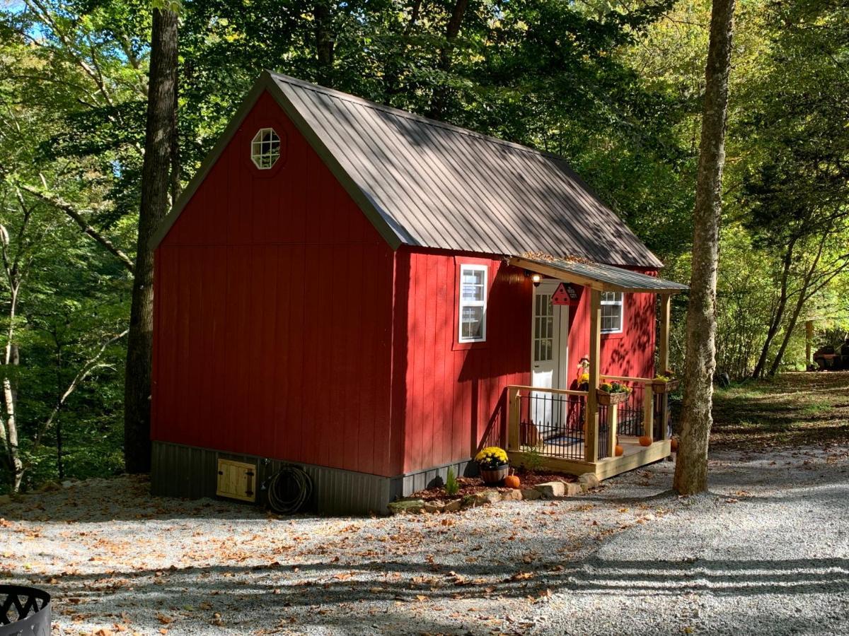 Coops Creek Cabins Dunlap Eksteriør bilde